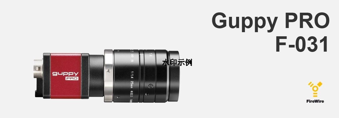 AVT Guppy Pro F-031B/C СweIEEE 1394b FierWire I(y)CCDC(j)